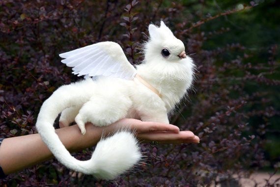 celestefbfb's tweet image. Deuses cri um animal celeste mostra.   Oitavo anjo 😇 você mora com os deuses pede para ele mostra que é maior que eu 😌🕊