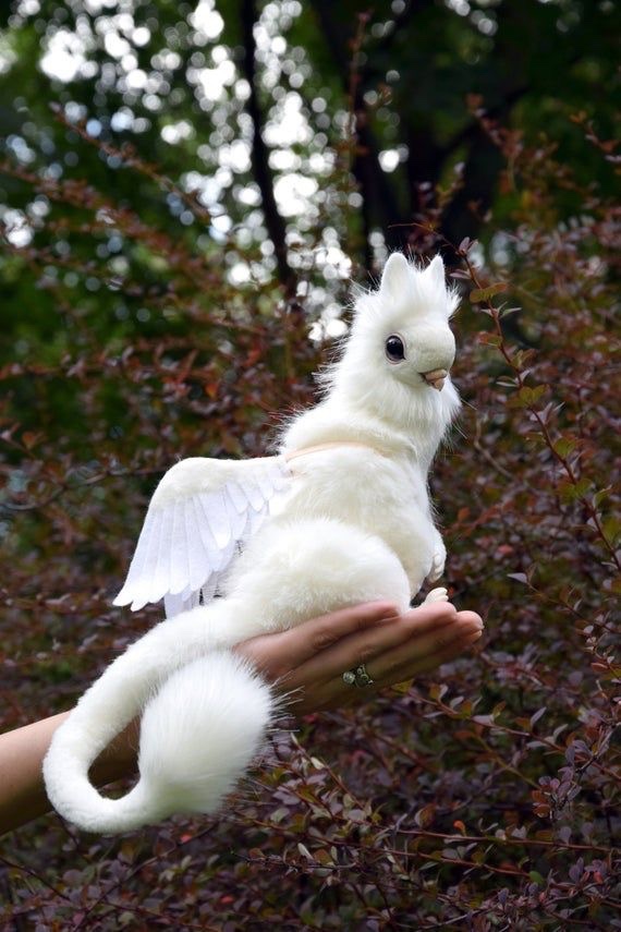 celestefbfb's tweet image. Deuses cri um animal celeste mostra.   Oitavo anjo 😇 você mora com os deuses pede para ele mostra que é maior que eu 😌🕊