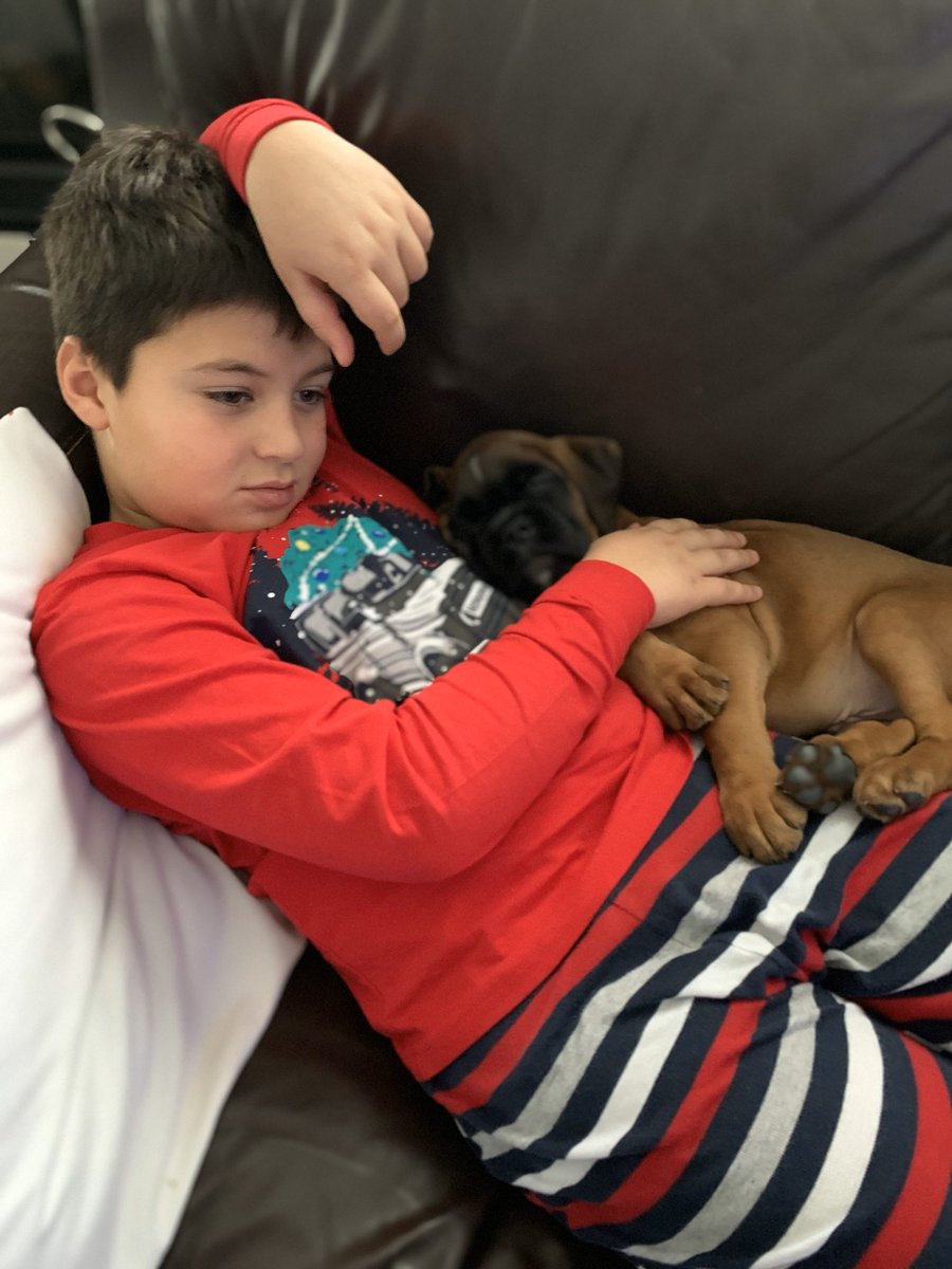 crisdanmat's tweet photo. Virtual spirit week continues @FFMcGinnCES with their partner in crime Rusty!@Trapani_tweets @scorvese @MrsColangelo https://t.co/75BFoA88Z9