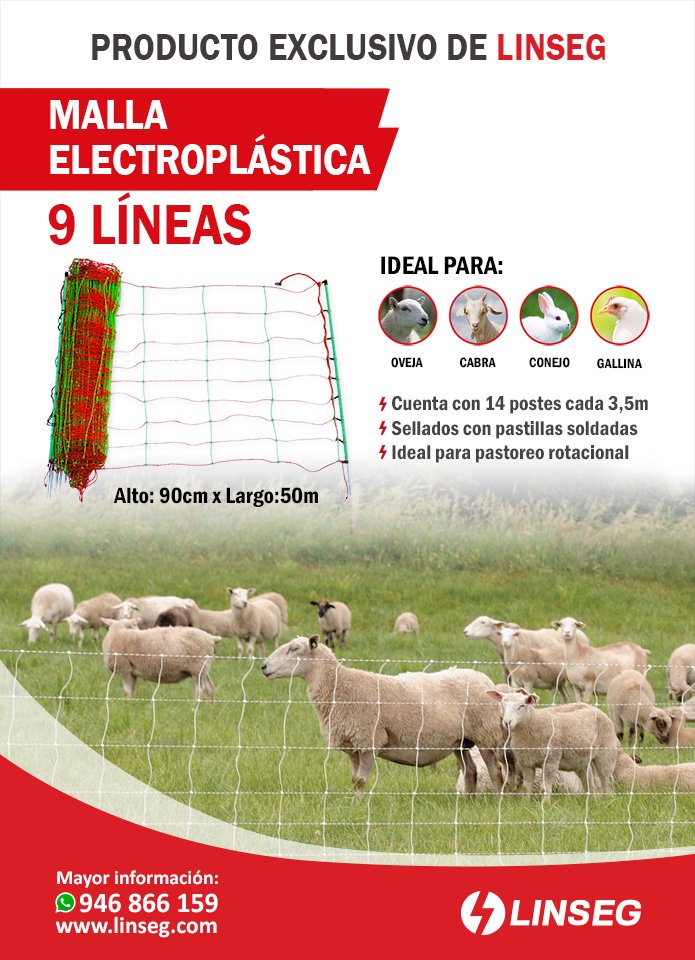 LINSEGPERU's tweet photo. ⚡PRODUCTO EXCLUSIVO DE LINSEG ⚡

Utiliza la #MallaElectroplástica de 9 Líneas, ideal para ganado ovino, caprino y animales menores⚡⚡ 🤠🐏🐑🦙🐐🐇🐔🐥  #Linseg #LíderEnCercosEléctricos #Malla #Ganadería #Ovejas #Cabras #Conejo #Gallina https://t.co/0zhkNKQzIz