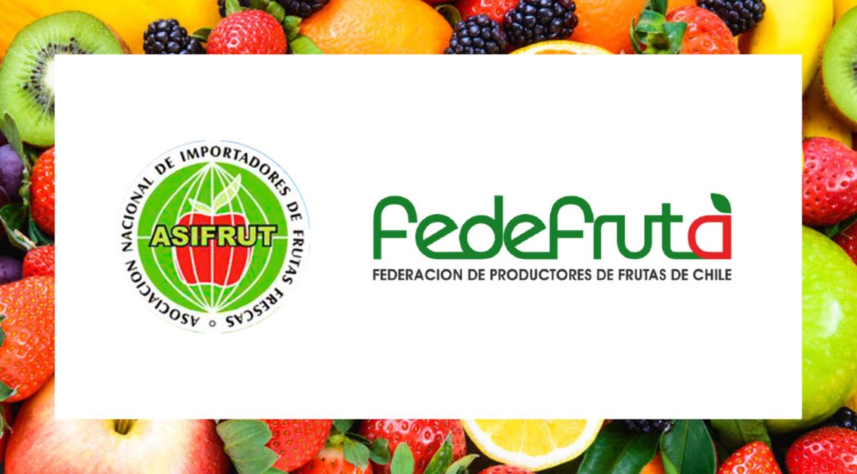 prochileco's tweet photo. Avanzarán en alianza estrategia para fortalecer el sector. 🍎🍇 @ProChileCo junto a @Fedefruta 🇨🇱 y #Asifrut 🇨🇴 se reunieron #hoy para revisar situación de importación de #frutachilena a #Colombia!!🍑🥝Muy buena conversación👏🏼👏🏼 https://t.co/0FHMH9Bo6E