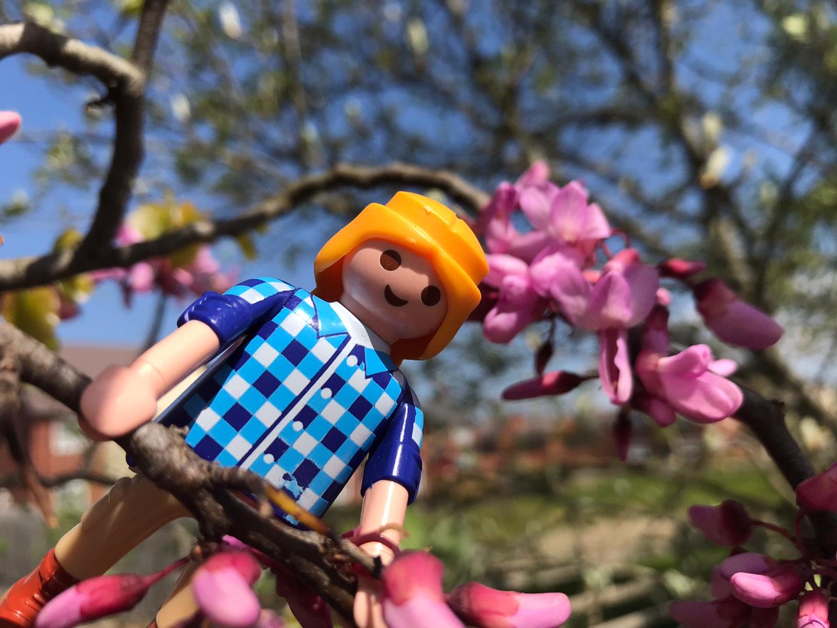 CUBGLearning's tweet photo. Download our new family activity https://t.co/n8cls3XTxr! This week it's all about #flowers and #pollinators! 

We hope you love it, share your creations with us using #CUBGfamily 

@CUBotanicGarden
 
#family #DawnandDoug #familyfun https://t.co/2ti72f9bjB