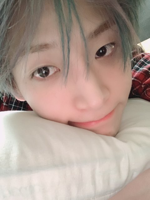 리치 tweet media