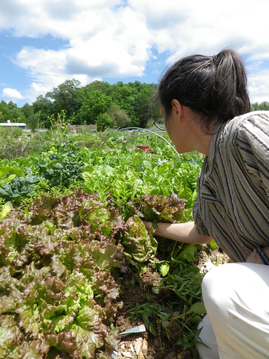 VABFarming's tweet photo. Check out our monthly newsletter!
https://t.co/I7kxZo5Gns https://t.co/wRD9xy3Elf