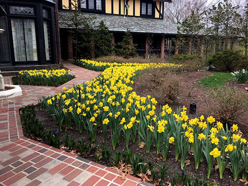 Stan Hywet Hall & Gardens tweet media