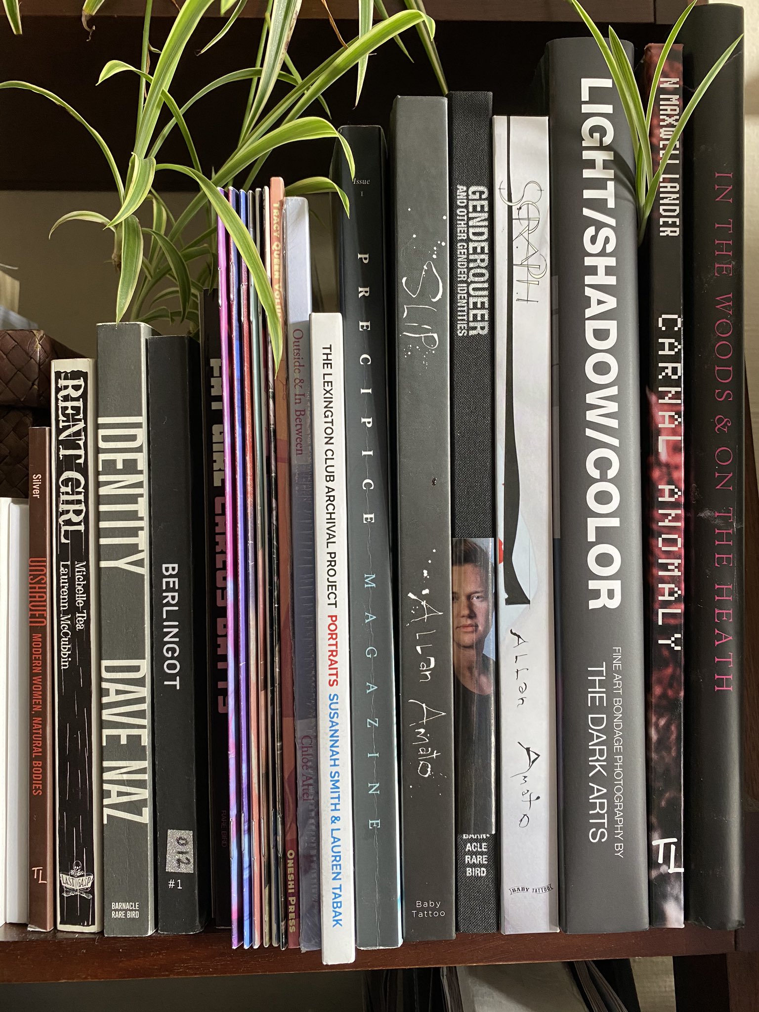 Jiz Lee on X: Its WorldBookDay📚! Here are some books I have on the  topics of porn, sexuality, and sex work. SexWorkersWrite Whats on your  shelf? t.coDmSMMHUBzt  X
