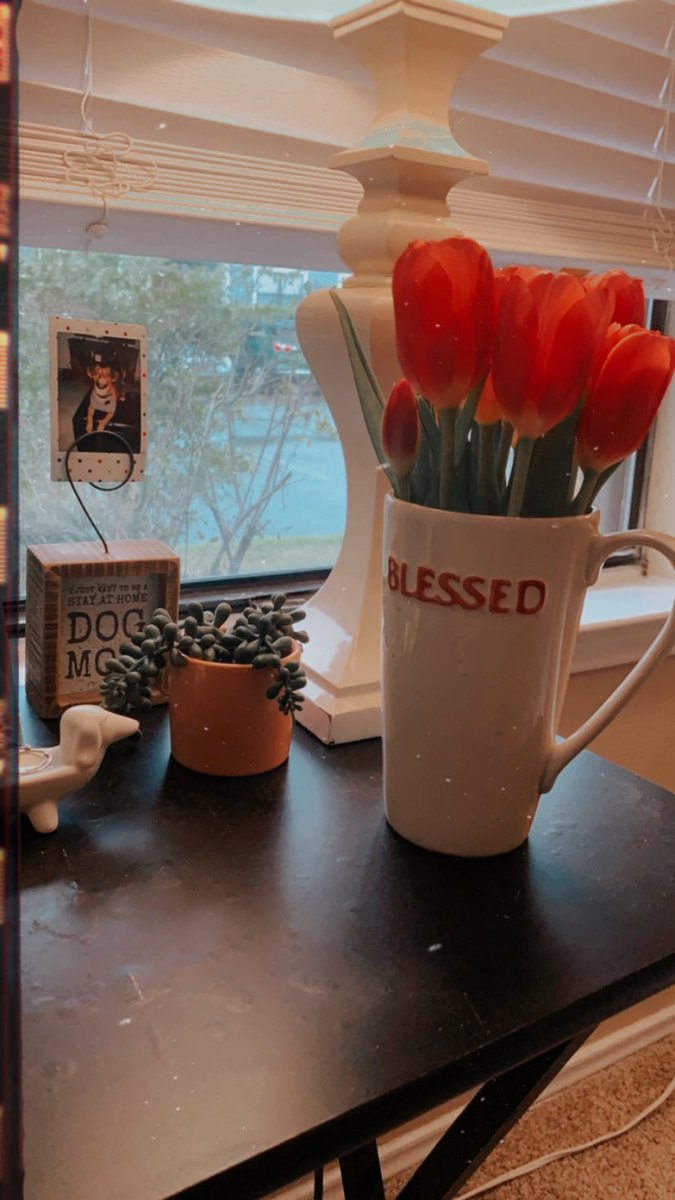 Jamiebeexoxo's tweet photo. Sad cause you don’t have a mans to buy you flowers?? Buy your own!!!!!! https://t.co/ijLUnOjzPh