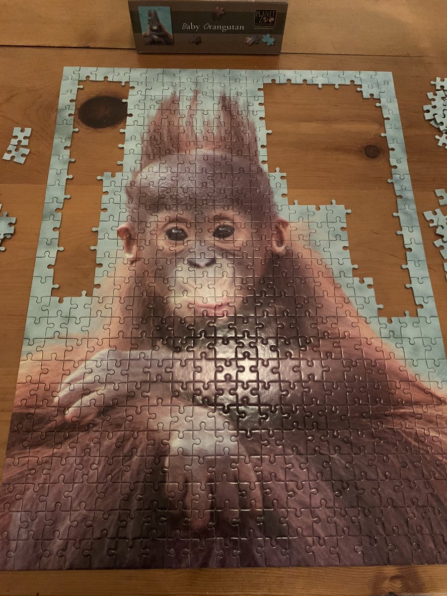 Every day I’m puzzling🧩 I haven’t done a puzzle since I was a child, but now I have time to challenge myself and get back into it! What is your newest hobby during this #StayAtHome time? #PuzzlePro #HandsOnMindsOn #NHPGCP