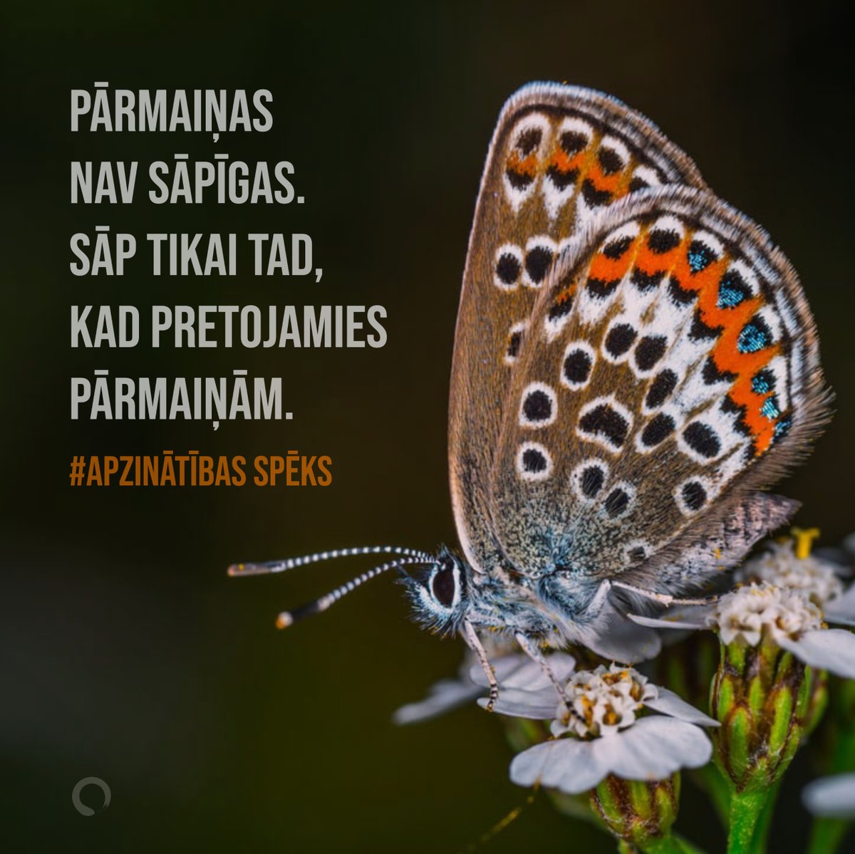 Pārmaiņas pašas nav sāpīgas.
Sāp pretošanās pārmaiņām.