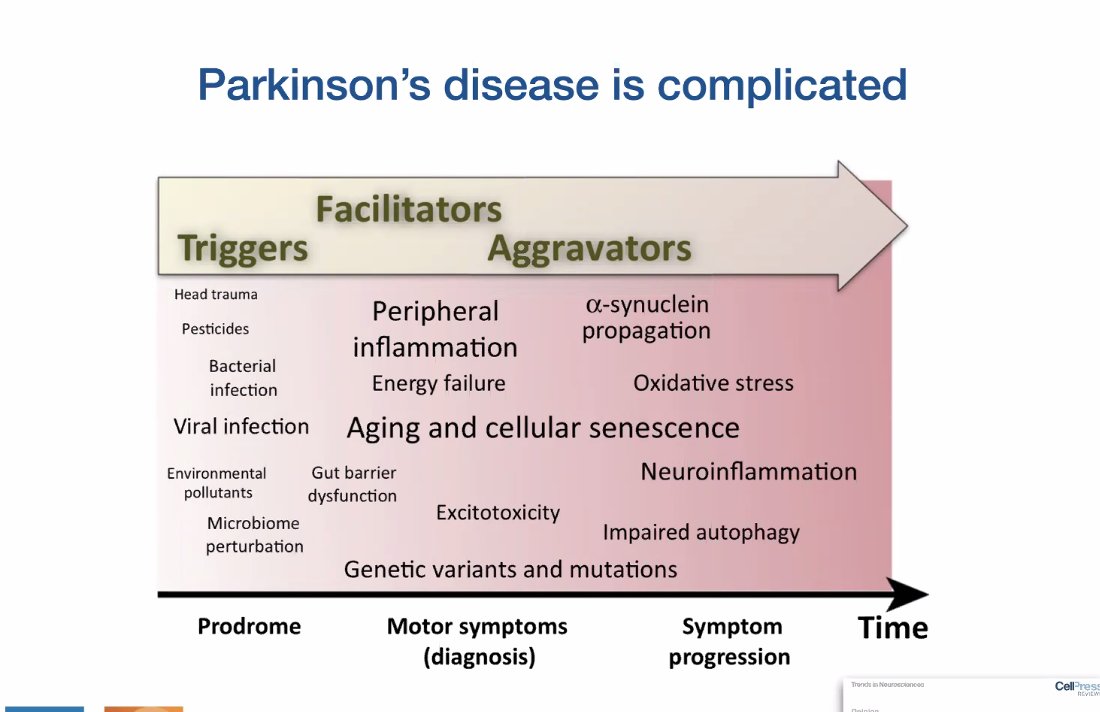 She is starting off by outlining how complicated the underlying biology of  #Parkinsons is believed to be