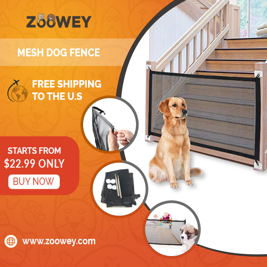 Zooweycom's tweet photo. pet your pet 😀 | Free shipping to USA
#Pet #Pet #Dog #Dogs #Cat #Cats #Pet_product #Pets_products #Pet_supply #Pets_supplies #Dog_supply  #Dogs_supplies #Cat_supply #Cats_supplies #USA #Covid_19 https://t.co/htKDMdB3Oc