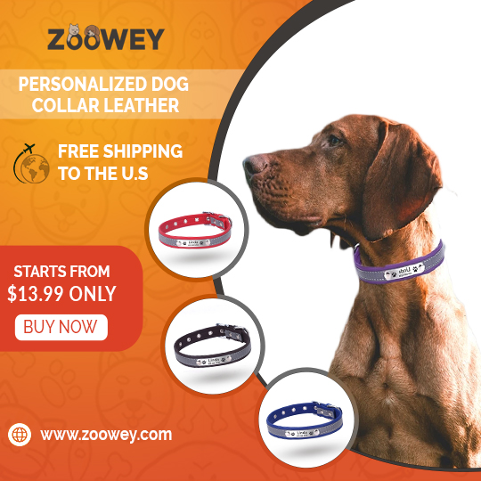 Zooweycom's tweet photo. pet your pet 😀 | Free shipping to USA
#Pet #Pet #Dog #Dogs #Cat #Cats #Pet_product #Pets_products #Pet_supply #Pets_supplies #Dog_supply  #Dogs_supplies #Cat_supply #Cats_supplies #USA #Covid_19 https://t.co/htKDMdB3Oc