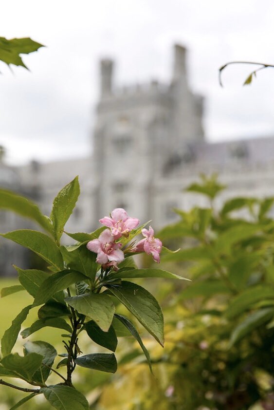 Wishing the very best of luck to all students starting exams tomorrow. Remember to take care at this time, and ask for help and support if you need it. Be sure to also check the Keep Learning section of our dedicated Covid-19 website Supports ⬇️