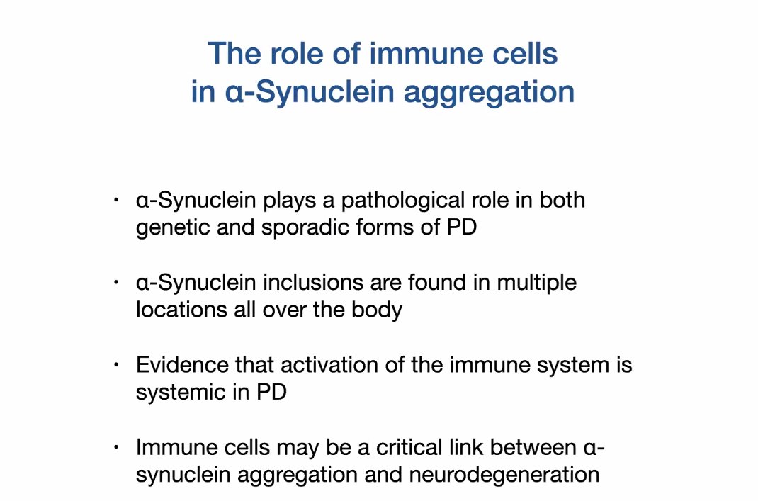 They decided to explore the immune response & how alpha synuclein could be affected by it