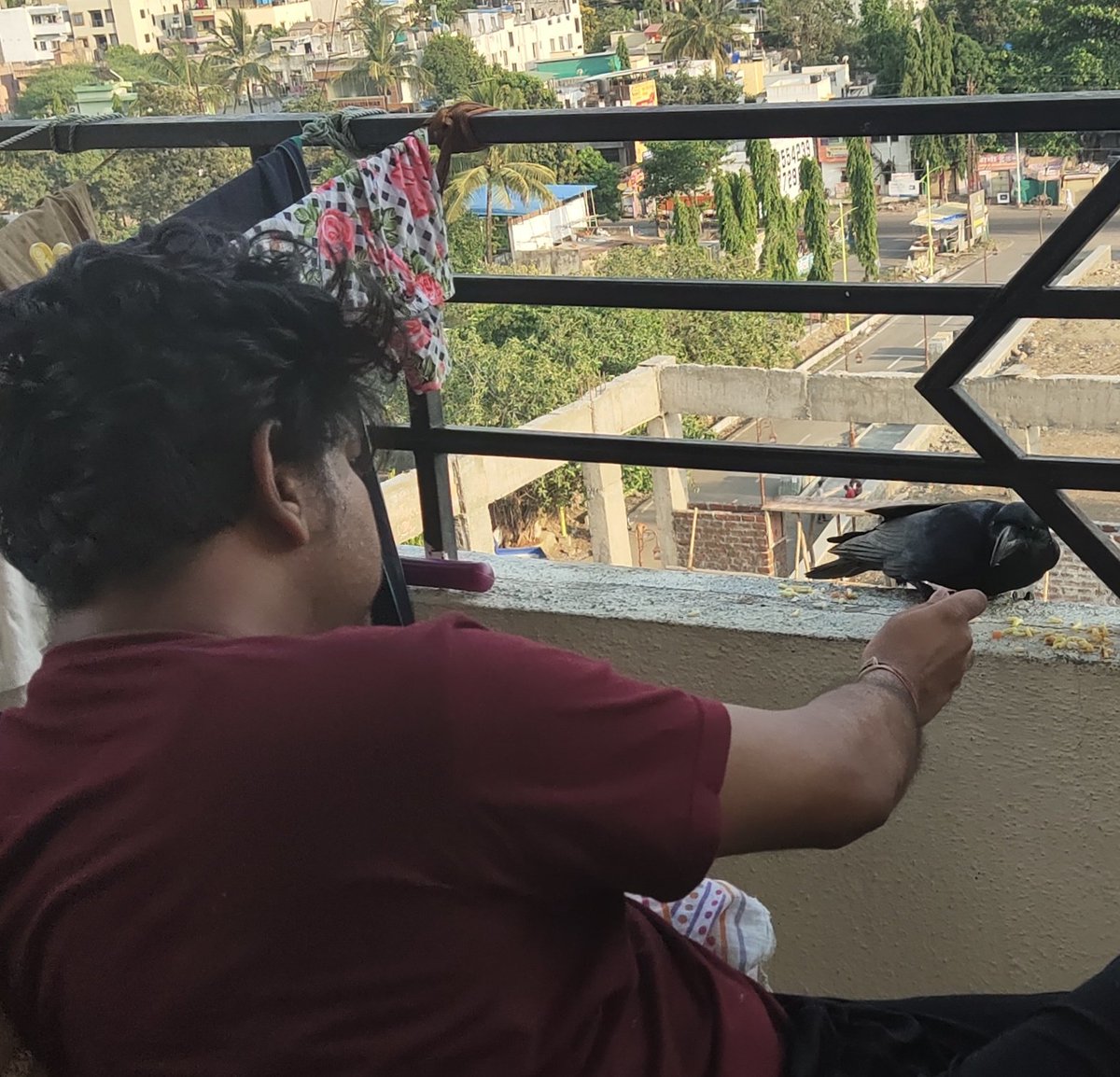 gonnymon's tweet photo. लॉक  डाउन मुळे पक्षांना देखील खायला भेटत नाहीये..Feed the needy one..
#StayHomeStaySafe https://t.co/HOwBFLWrEx