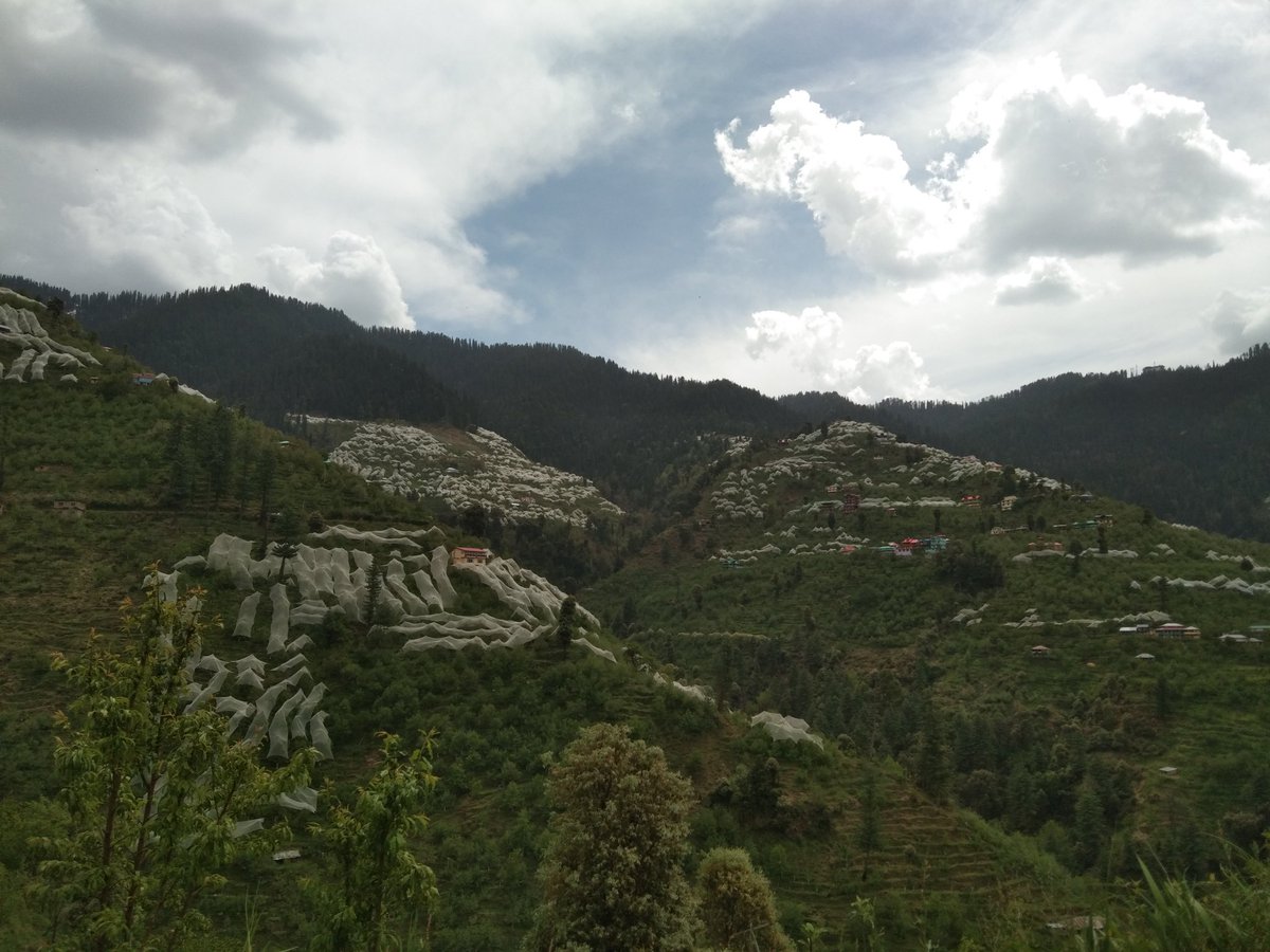 OfficalShikari's tweet photo. himachal valley @lifeinkotgarh https://t.co/xT9lTnKCYF