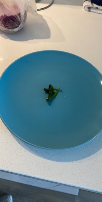 When you cook spinach 😂 https://t.co/atCKBcImvS<a href="/tag/friday"class="tags"><span>#friday</span></a>