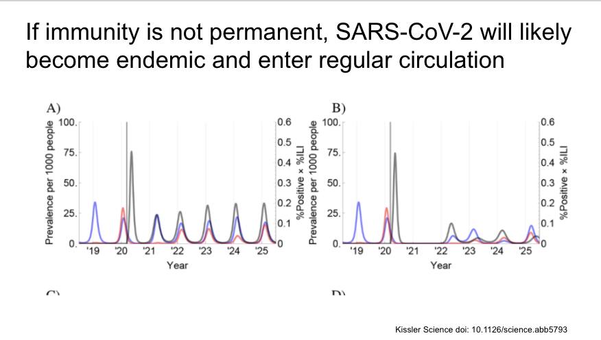 They then add SARS-CoV-2 to the model (in black in the figures, other CoV in blue and red) with results of a variety of different assumptions. First, if immunity is not permanent, SARS-CoV-2 likely to become endemic and have regular outbreaks.