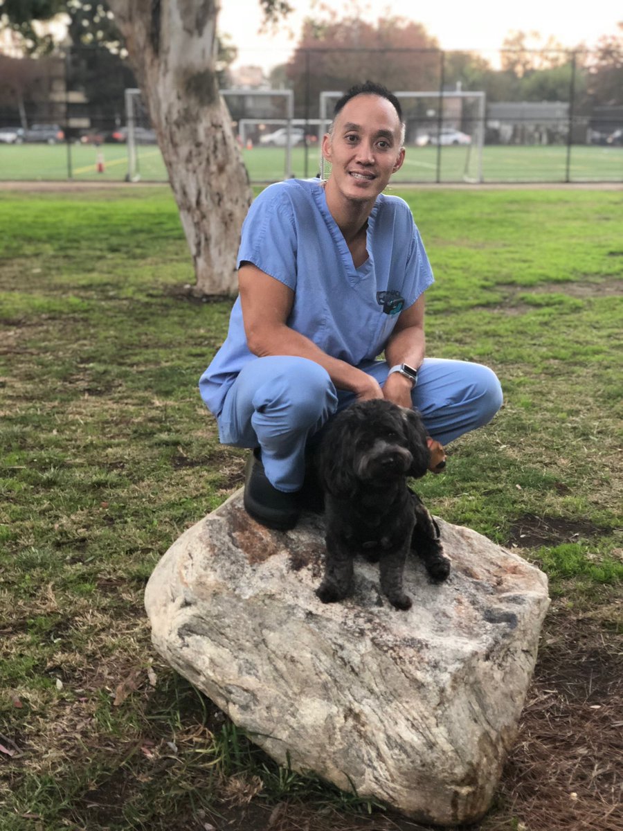 HarborUCLAEM's tweet photo. The pets of harbor are looking forward to more sunlight in the future, but for now are staying home, staying safe, and enjoying some more time with their favorite people. #rufftimes #thetimeismeow #therapypets #harborstrong #harborucla https://t.co/vtitENnWFi