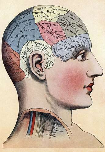 28.Phrenology, once considered "the only true science of mind," was used to explain such things as criminality & love, guide education & jobs, and condone racism. It can best be described as pseudoscience but was once considered to be consensus science and still exists today.