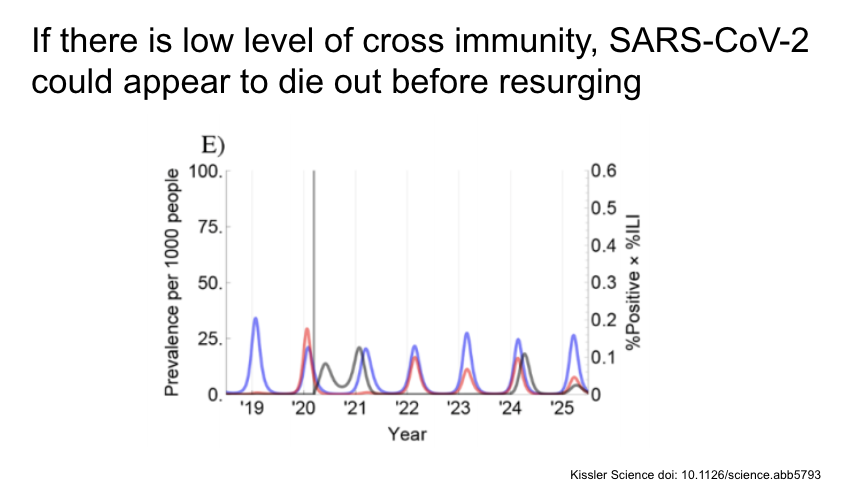 If there is low level of cross immunity with the other CoV, SARS-CoV-2 could appear to die out before resurging a few years later.