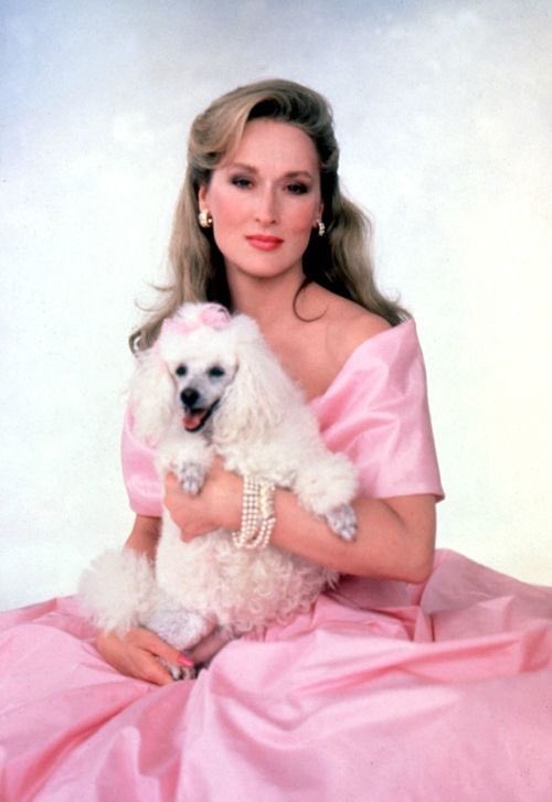 Meryl Streep characters responding to "can you buy me pads" text: a thread