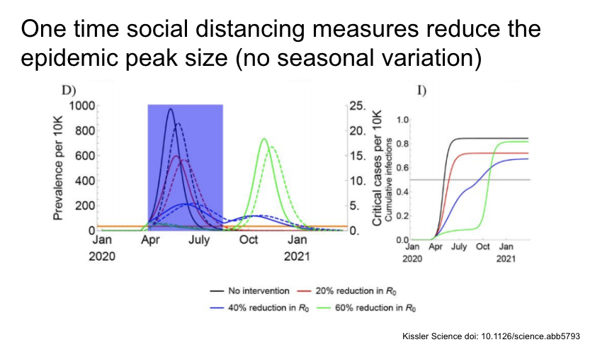 Then they looked at social distancing measures (marked with the blue box) of varying intensities and lengths. A one time intervention reduces the initial epidemic size, but recurrence in all cases.