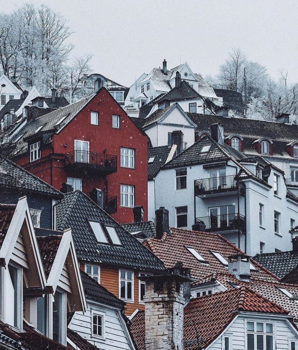 • Dear Patience •Bergen, Norway
