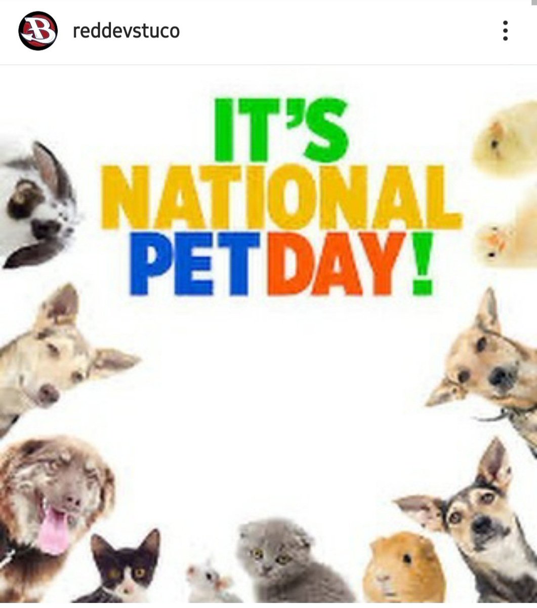 RedDevStuCo's tweet image. Okay, it's not officially National Pet Day, but it is Pet Day for BHS Student Council's #BHSstayhomechallenge.  Pets make everything better!