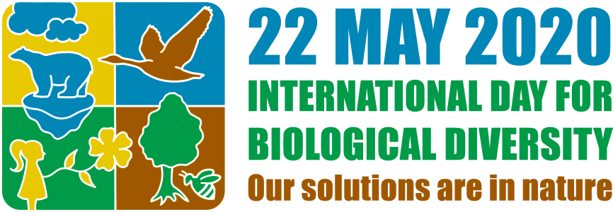 UNBiodiversity's tweet photo. Check out the logo for this year's International #BiodiversityDay celebrated on 22 May! This year's theme is “Our solutions are in nature."

Learn more about the Biodiversity Day theme: https://t.co/WbjF91PrsH
Download the logo - available in 6⃣ languages: https://t.co/U4LwlVJJl9 https://t.co/7eynTcy8sd