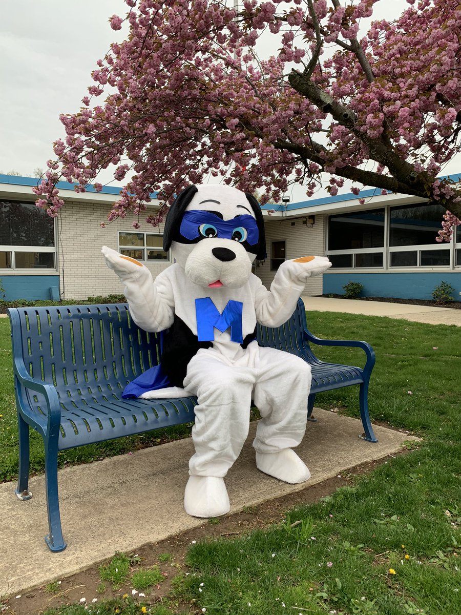 “Where is everyone?” The Mighty Mutt is lonely and misses all of the great Menlo Park students. Be safe everyone. #ShineBrightEdison #MenloSpirit
