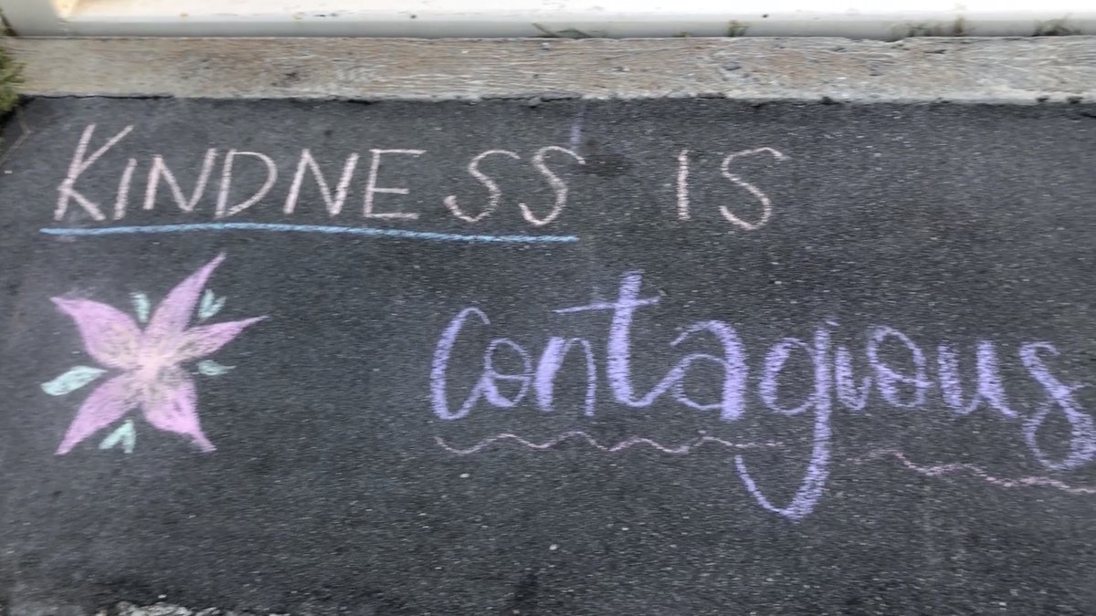 sciencewithkc's tweet image. Yesterday was the 50th anniversary of Earth Day! To celebrate, I went on a walk with my mom and took pictures along the way. Check out my blog here to see more: bit.ly/kc-earthday :) #apbio3 #ndbtigers