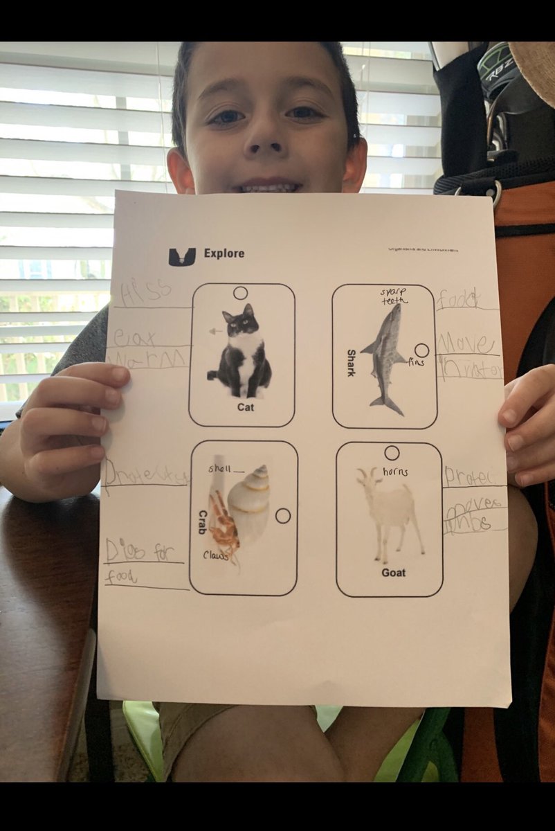 HRadous's tweet photo. This Bay Kinder Leader shares his thinking about how animals use their body parts &amp; move. Love seeing his thinking through distance learning. #baykinderleaders #clearcreekisd #bayeaglessoar #bayeagleslearn #bayimpact2020 https://t.co/0Rw31gkVXa