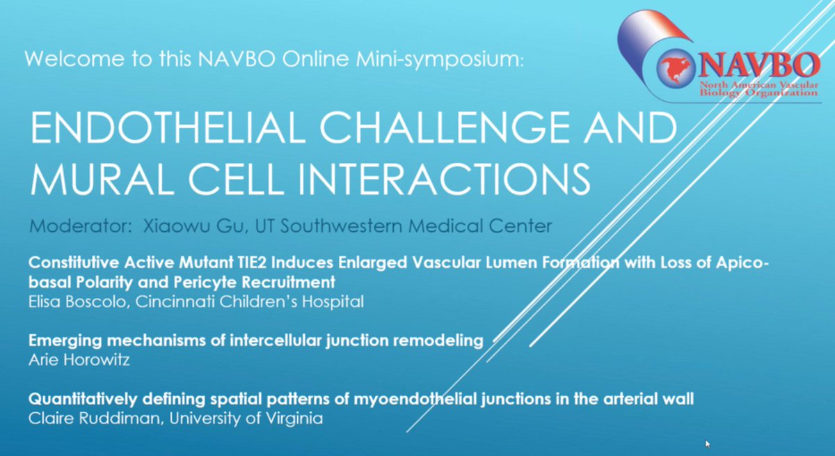 vascularbiology's tweet photo. Starting now! Join us :)
https://t.co/FCnr6cJJpX https://t.co/6wqBxP8D4H
