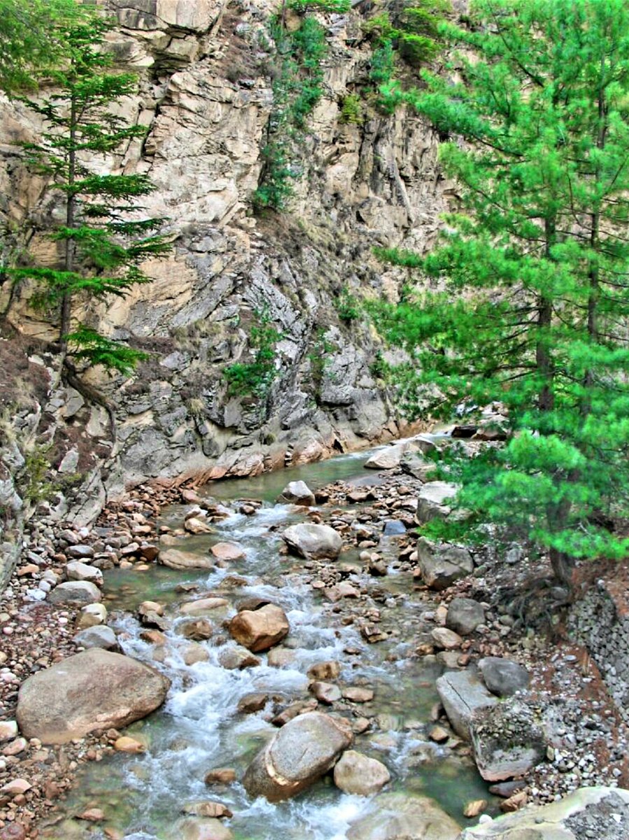 Uttarakhand also known as Devbhoomi has Chaar Dham pilgrimage and also home to the Gangotri and Yamunotri glaciers. The state offers astounding views of the Himalayas and serene valleys with unparalleled beauty and scenery.Clicked on my way to Yamunotri   #PhotosOfMyLife