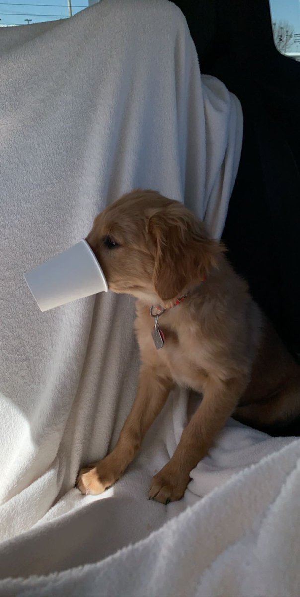HuckChelby's tweet photo. https://t.co/keYXFOFhx8