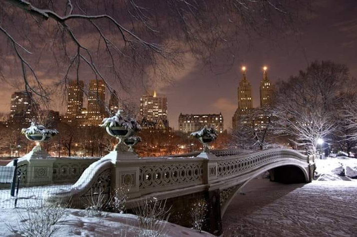 Liyma Isha 🇺🇸 (@ishaliyma) on Twitter photo 