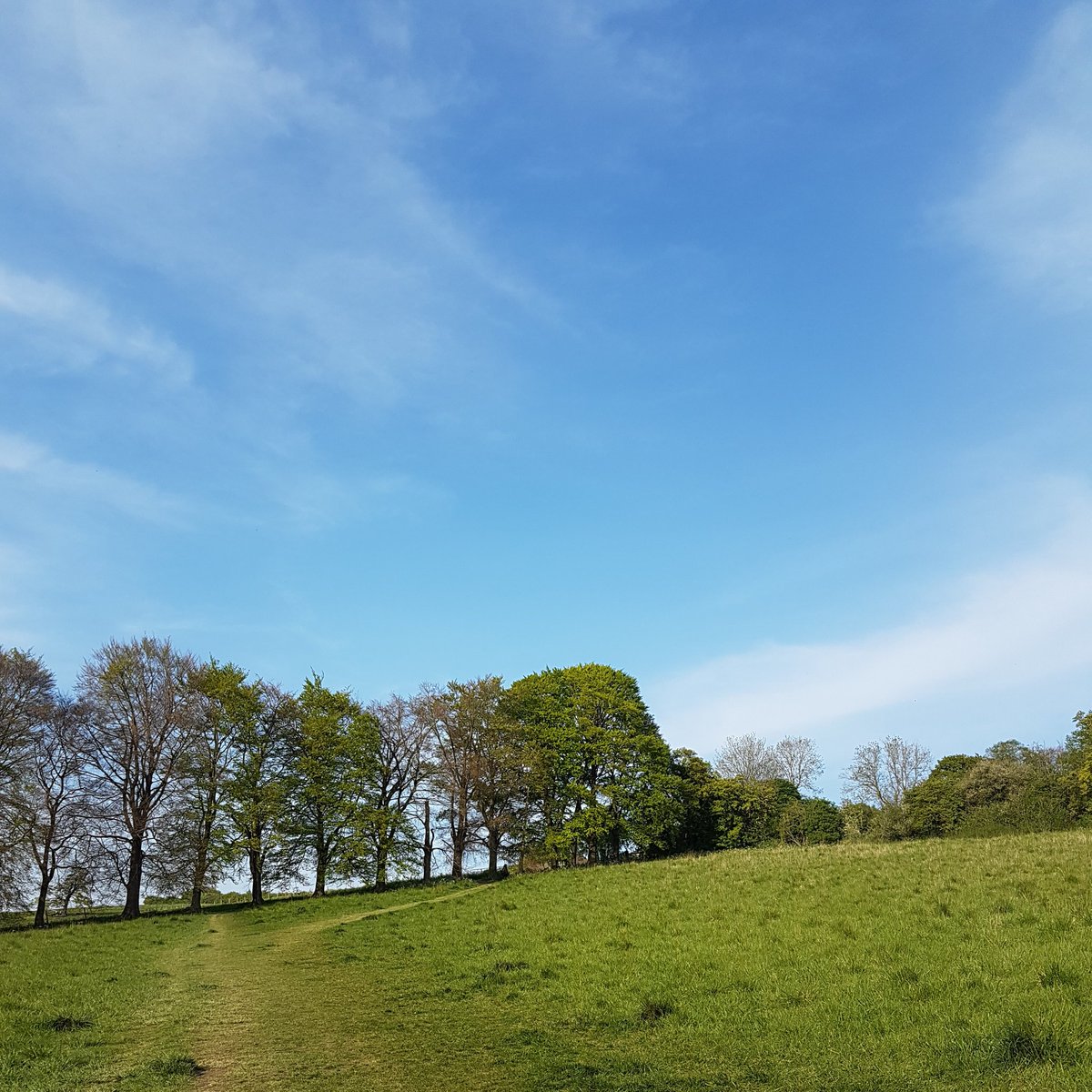 Day #31 - 17:35I hadn't left my house/garden/cabin compound for around 30 days (I honestly can't remember) so needed to go for a walk nearby...There's no traffic.There's no litter.Although we're not better off inside there is little doubt outside is better off without us.