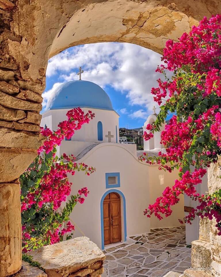 OthellosGreek's tweet photo. Stunning 🌺🌺 https://t.co/TfG95iRq1A