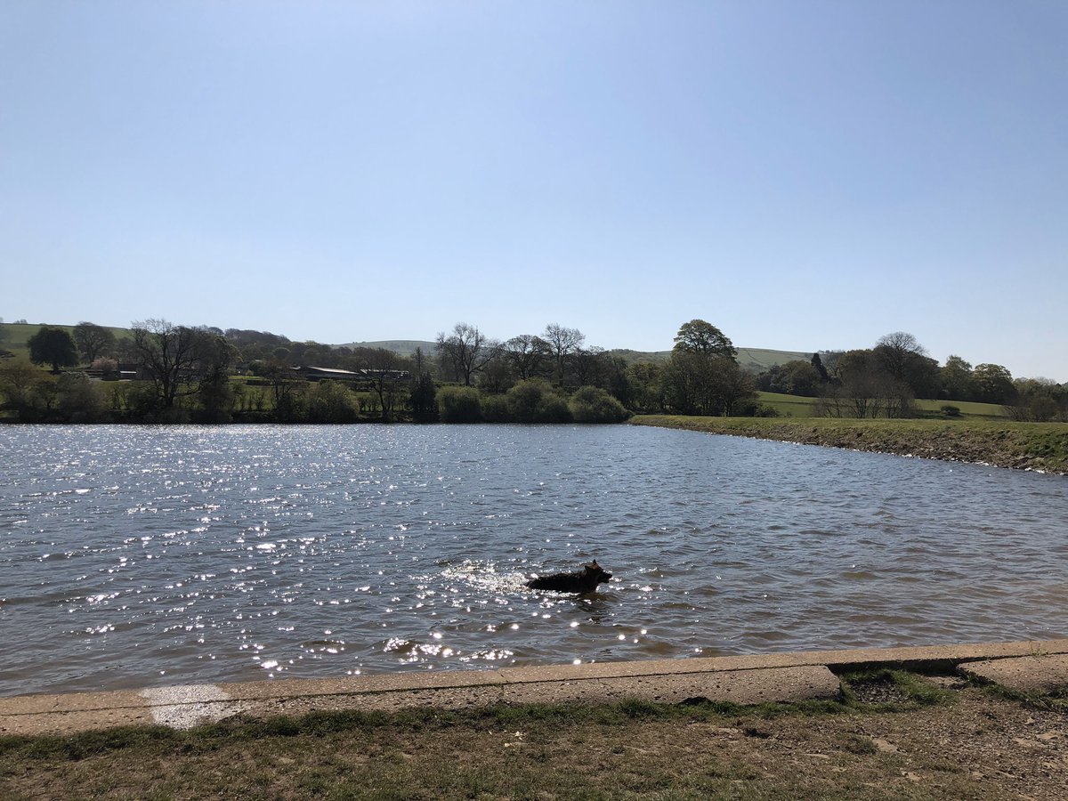 lester_the_dog's tweet photo. #Sutton #Leadbeaters #Macclesfield #dogwalk Two reservoirs in two days. I do like a walk around a reservoir. In fact, some might call me Reservoir Dog.
I’ll go back to my bed now... https://t.co/z9qasxKtKd