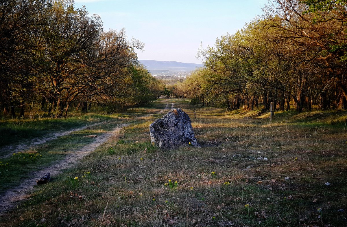janosbuzas's tweet photo. https://t.co/HLiuCrEdz0