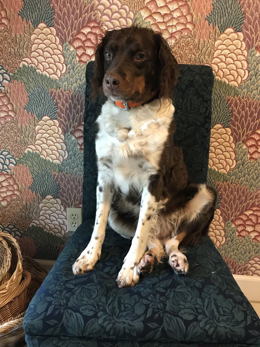 Since Kate has been in the house for over a month, she thinks she’s a real person!