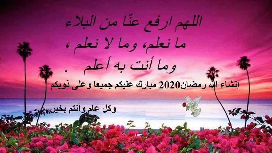 Rachid ROUABHI tweet media