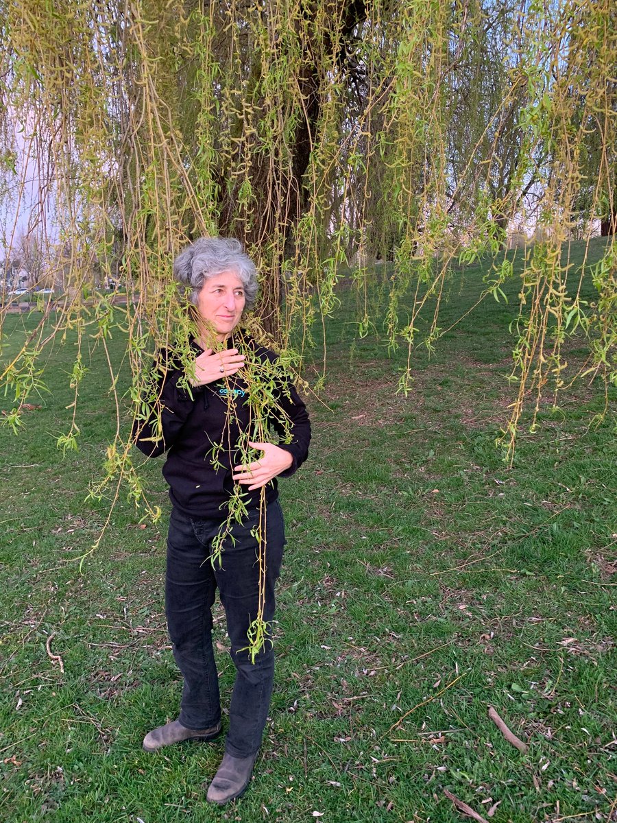 We can’t hug each other right now but we can hug a tree (or a house plant) to show some love during Earth Month. 

I took the #DontHugMeHugATree challenge. I’m challenging @JuliaLanger @asoltani & @ShaunaSylvester  to do the same! 

#EarthMonth #Nature #StaySafe @Canopyplanet
