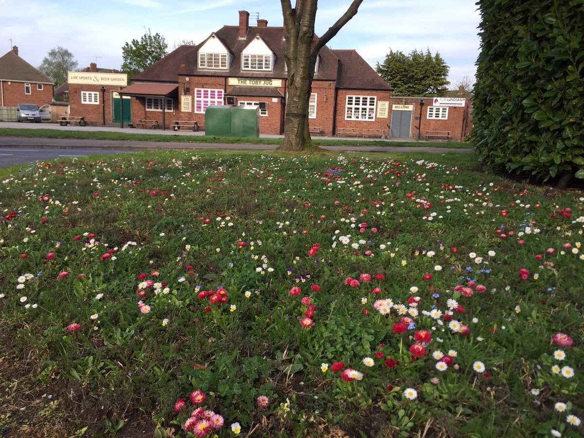 Chris Williams tweet media