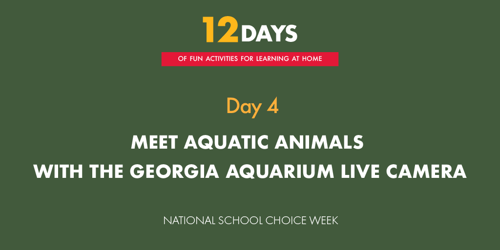 ntlschoolchoice's tweet photo. On day 4, meet the animals in the Georgia Aquarium via a live camera!
https://t.co/3X1mNSY2eO
#freeresourceloop #togetherathome #SchoolChoice #ParentsAreTheNewTeachers https://t.co/UiKhhOZhs0