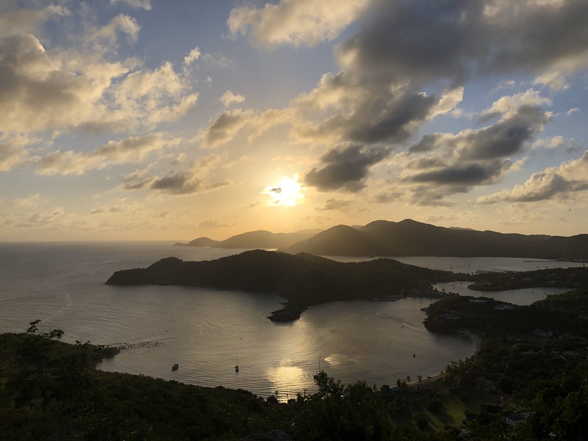 Brett Williams tweet media