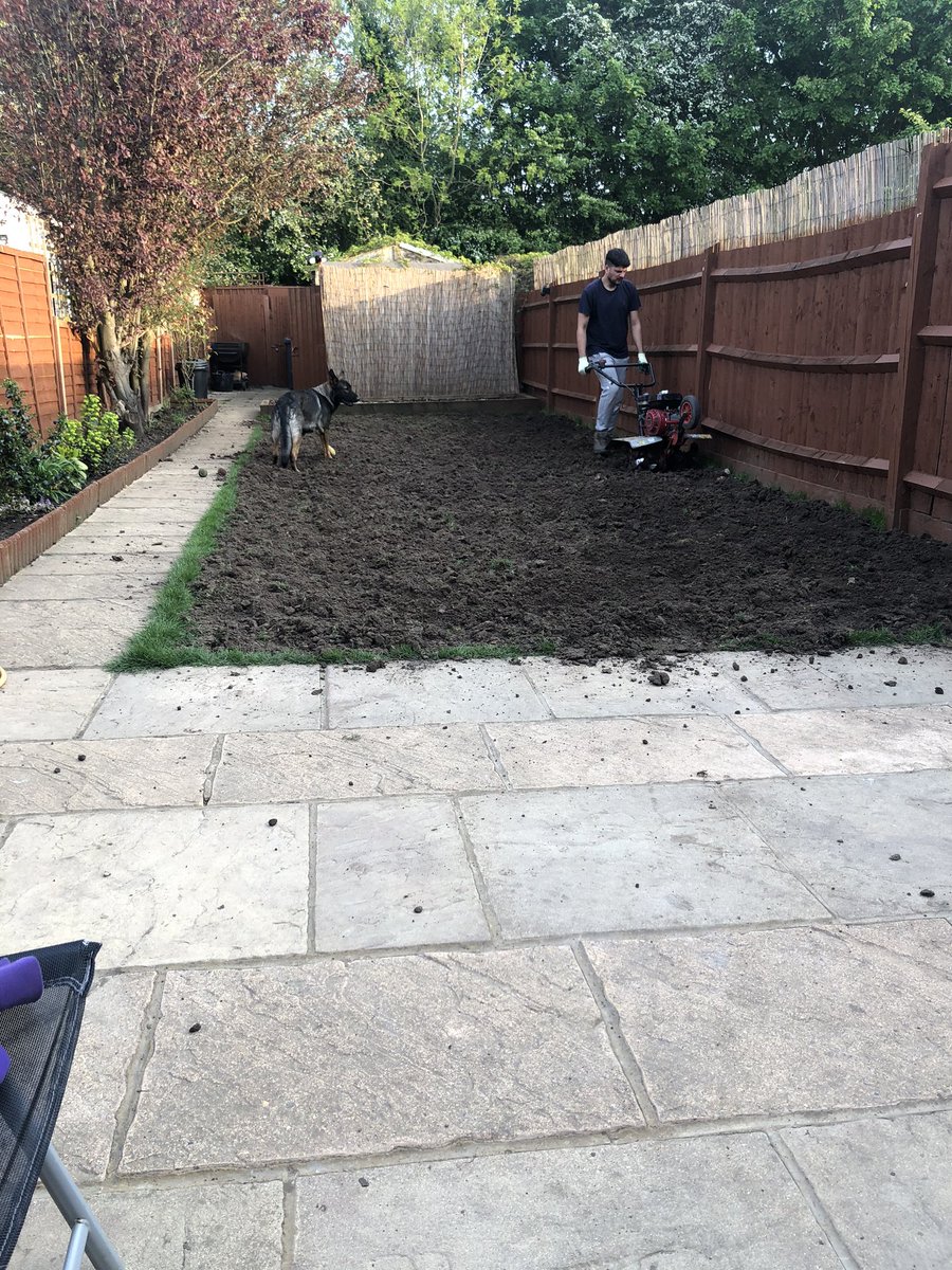 sunitakatreena's tweet photo. Who needs @GardenRescueBBC  when you have your own gardener and doggo supervising #secondtimeround https://t.co/EImsBQd4vd