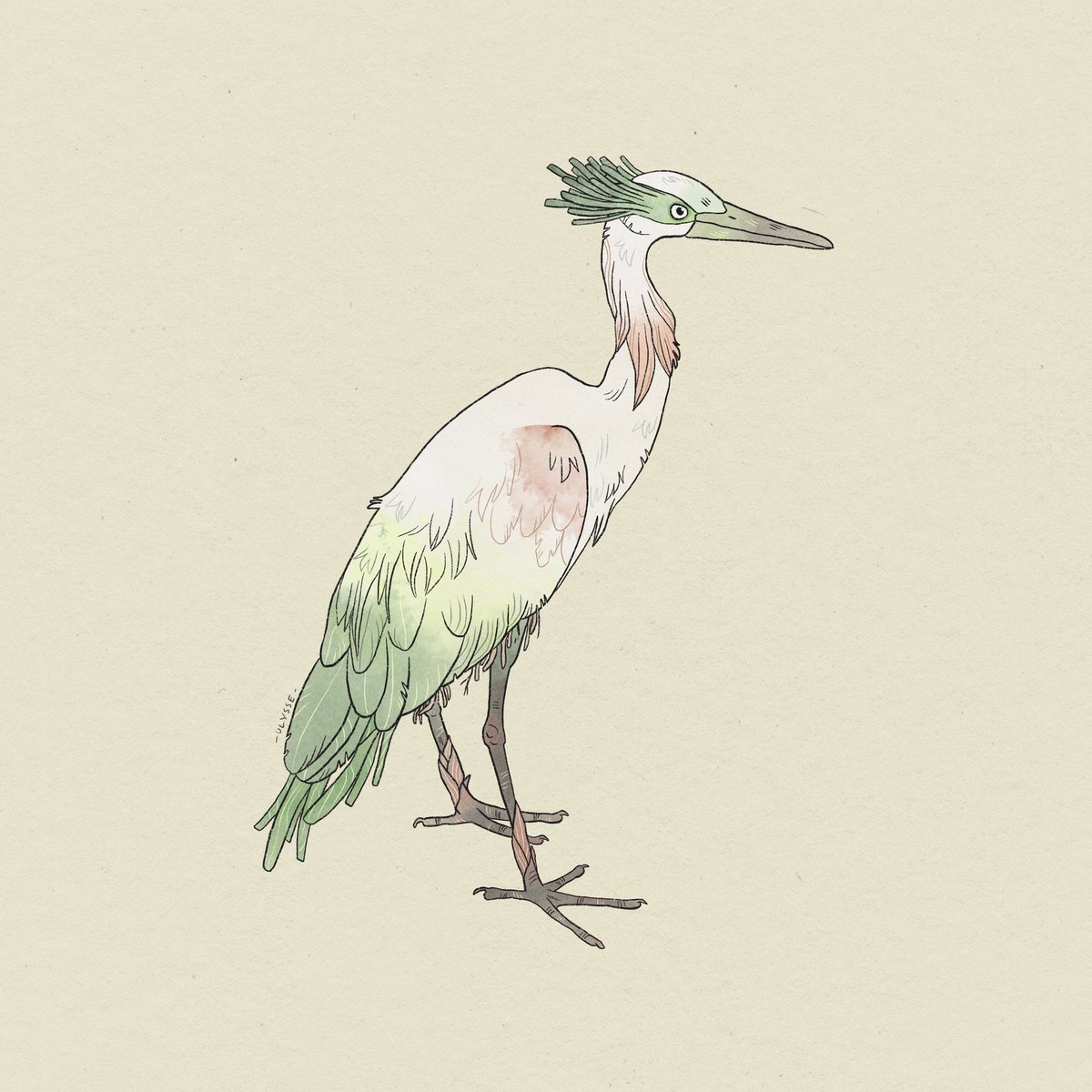 Ulyssse_'s tweet photo. Échalotier Rosé! Or Pink Wallot! 

#wader #bird #beastiary #drawing #conceptart #visualdevelopment #utremundi #art #foodbeast https://t.co/qZEt6NCR6E