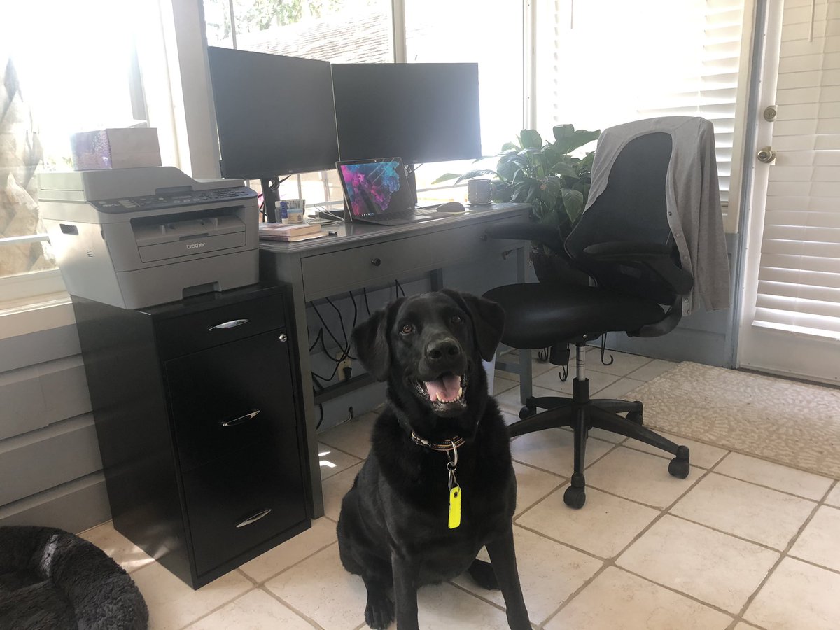 ericalr196's tweet image. #boostyourworkspace @Procurify ready for a home office boost!